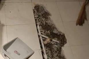 横峰卫生间漏水检测电话